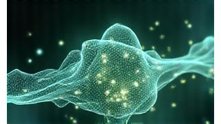 Abstract representation of hormones and cellular health