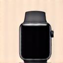 Apple Watch logo
